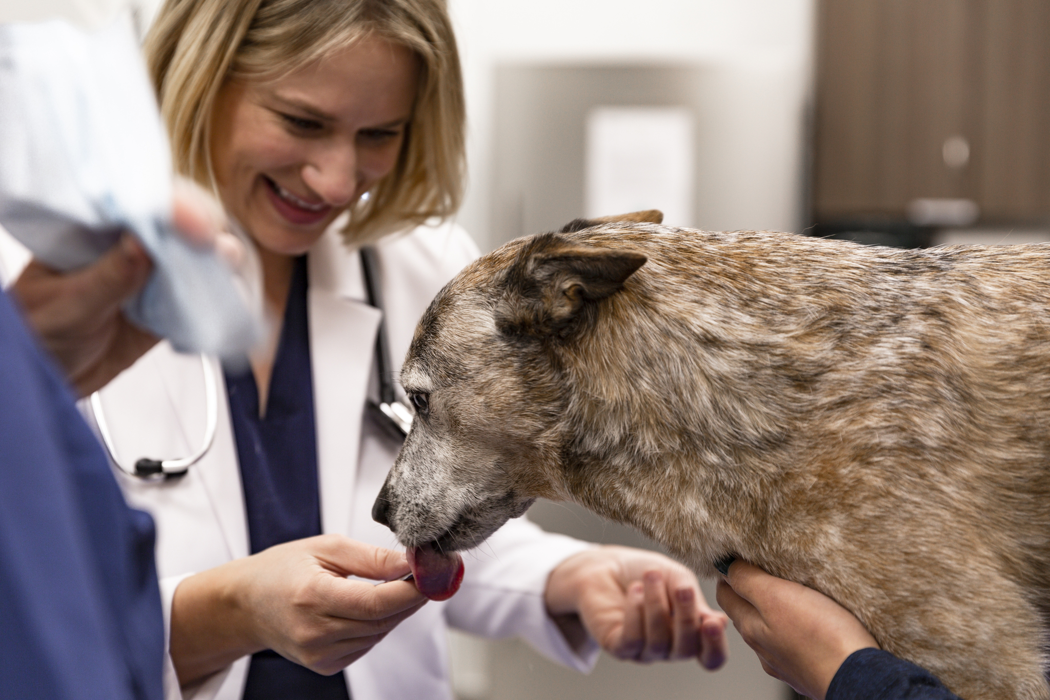 Dr. Katie Malehorn with a dog